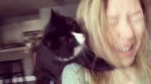 Кошка не любит, когда хозяйка поет: как смешно пытается остановить женщину