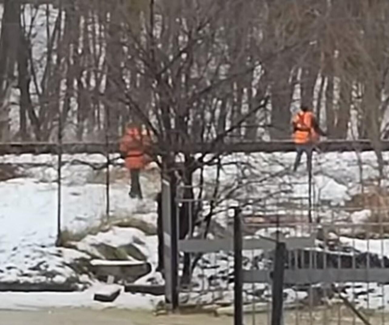 Вместо уборки снега: во Львове посреди зимы косили траву Вместо уборки снега: во Львове посреди зимы косили траву