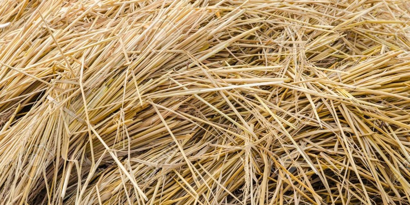 "Нафтогаз Тепло" собирается в работе использовать солому, а не газ "Нафтогаз Тепло" собирается в работе использовать солому, а не газ