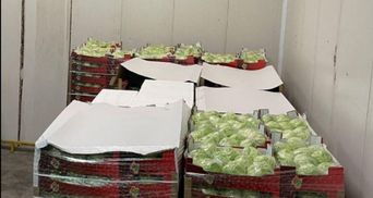 Почти 4 тонны: львовские таможенники конфисковали контрабандные овощи