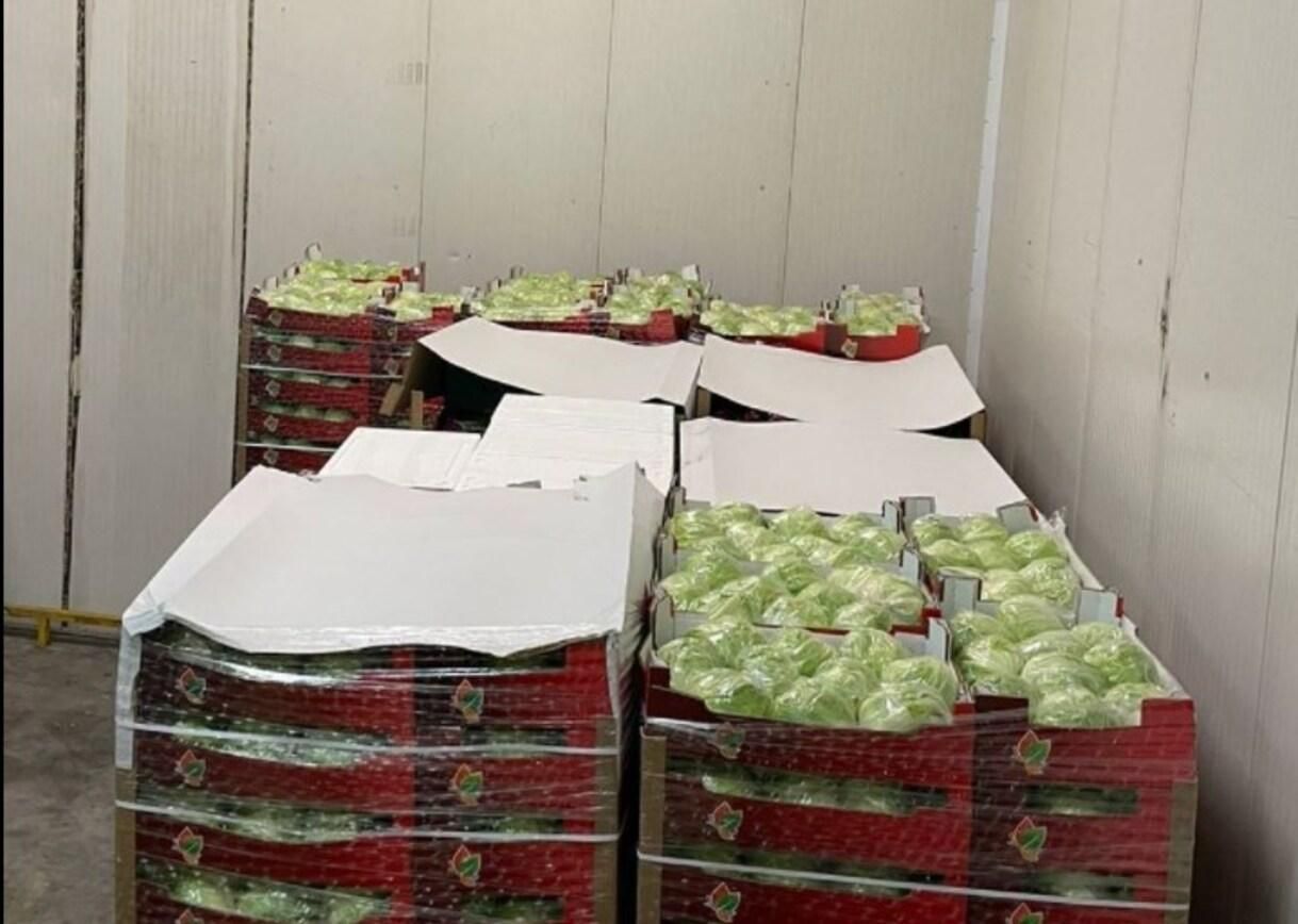 Почти 4 тонны: львовские таможенники конфисковали контрабандные овощи Почти 4 тонны: львовские таможенники конфисковали контрабандные овощи