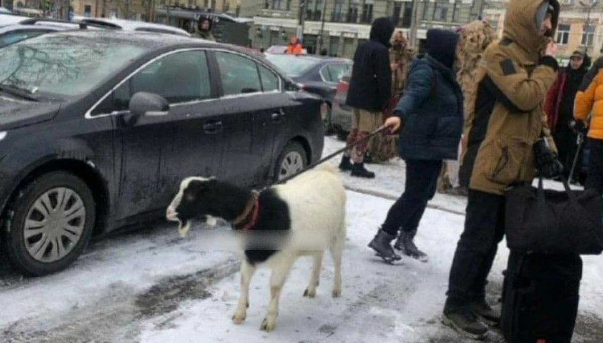 На Контрактовой площади в Киеве увидели женщину с козой на поводке