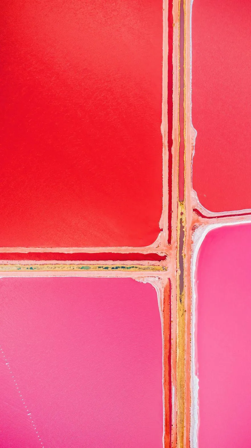 Рожева лагуна вражає скравим кольором води Рожева лагуна вражає скравим кольором води