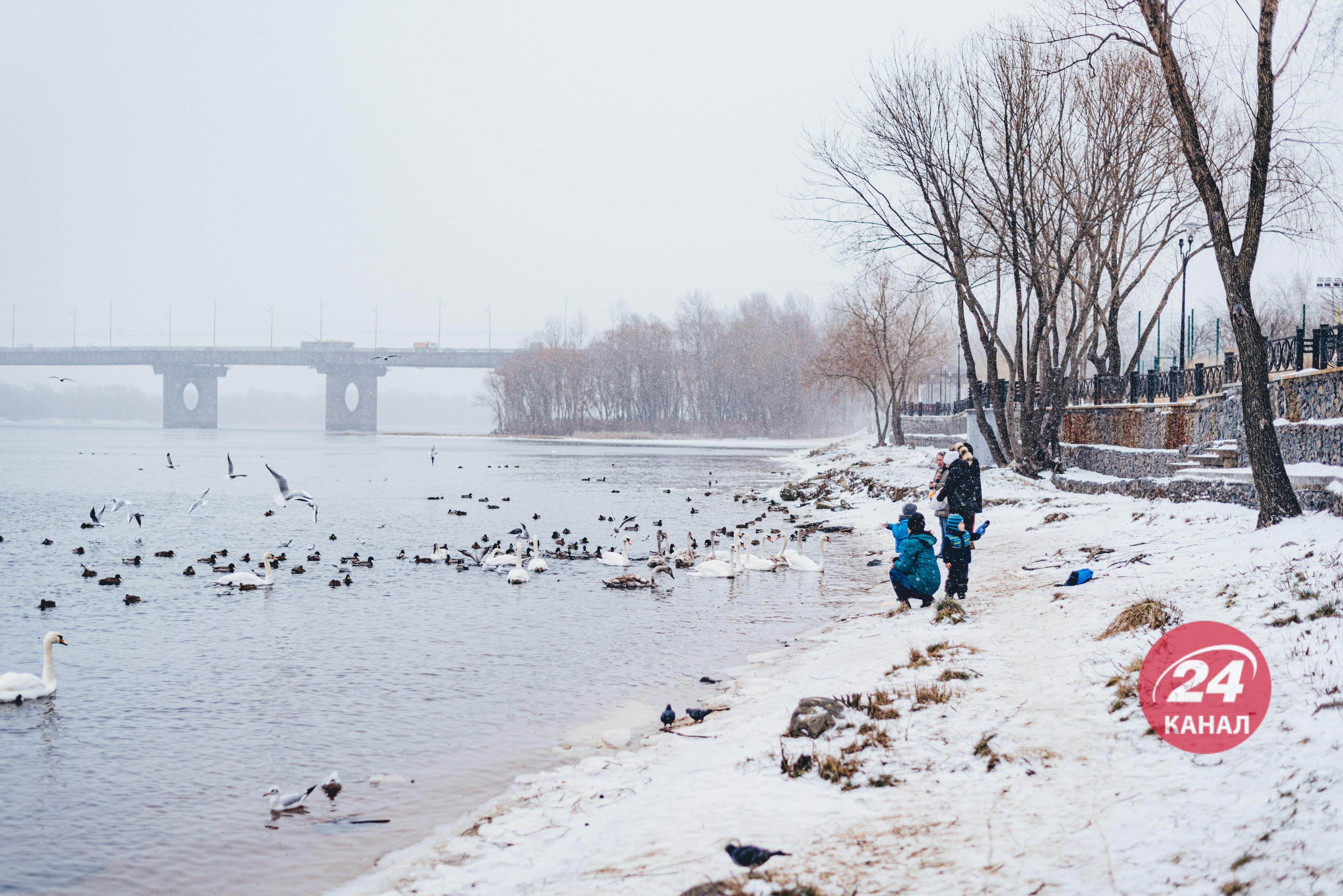 Погода на 23 января 2022 в Украине: что прогнозируют синоптики Погода на 23 января 2022 в Украине: что прогнозируют синоптики