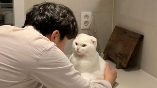 Когда это закончится: котик, который не любит обниматься, стал звездой сети