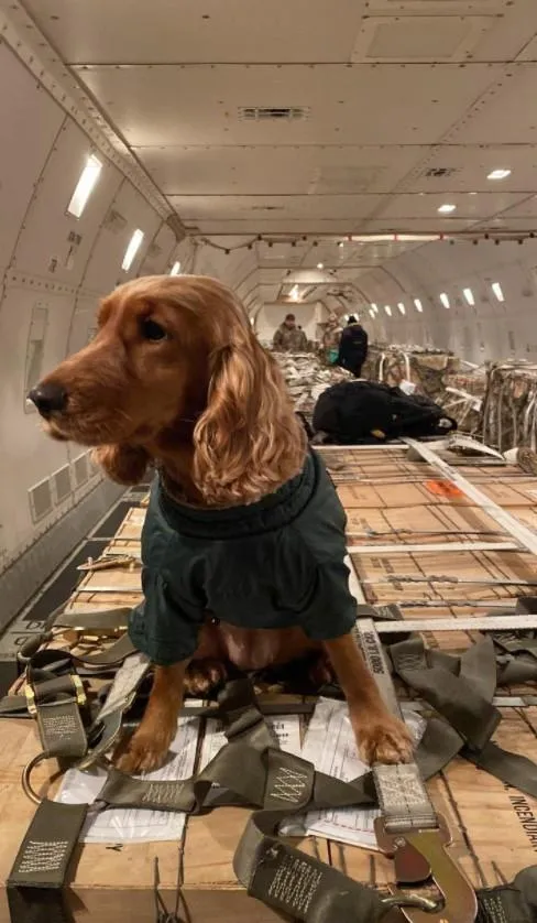 Фото з Борисполя Фото з Борисполя