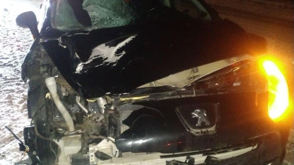 На трассе Киев – Чоп Peugeot насмерть сбил львовянку на пешеходном переходе