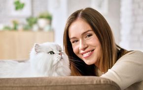 Как понять своего кота: причины удивительных привычек пушистых любимцев