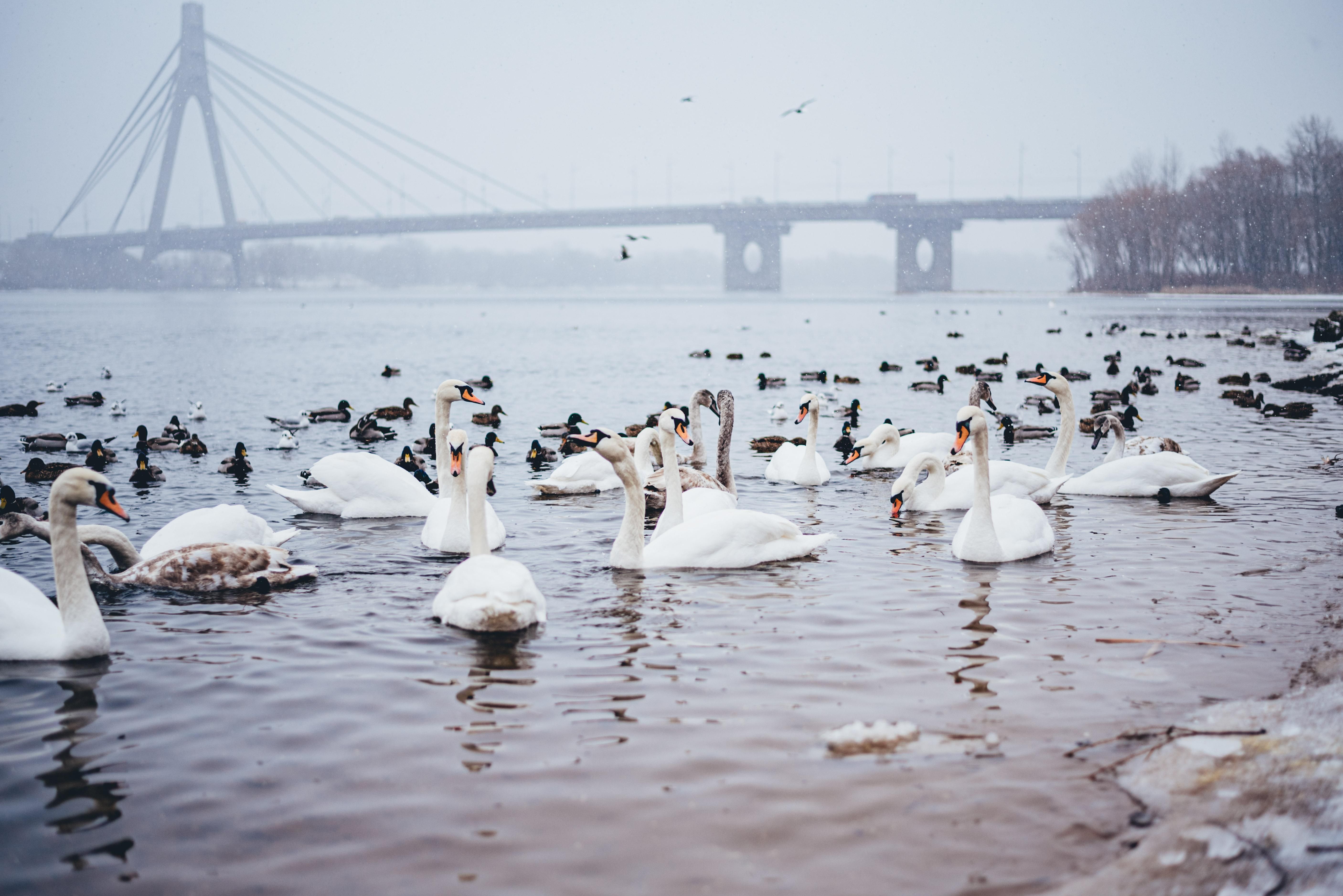 В Україну йде потепління: синоптики назвали дату - Україна новини - 24 Канал В Україну йде потепління: синоптики назвали дату - Україна новини - 24 Канал