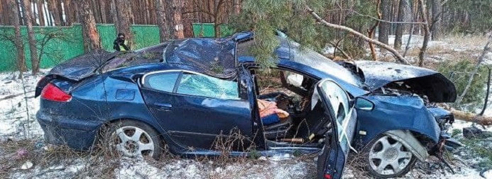 На Столичному шосе водій зніс два дерева і дивом вижив після автотрощі: моторошні кадри - Новини Києва сьогодні - Київ