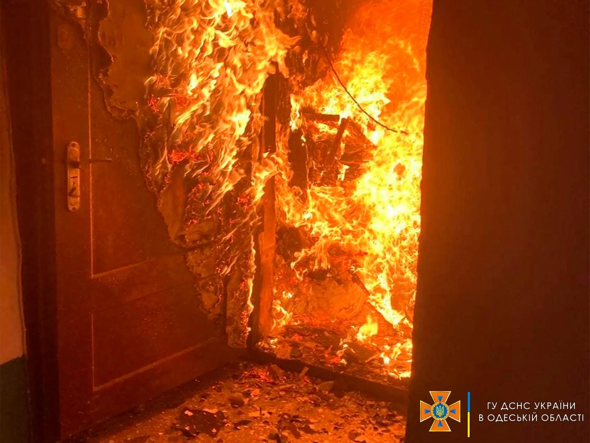 На момент пожежі на Одещині в квартирі перебував чоловік з інвалідністю й тварини