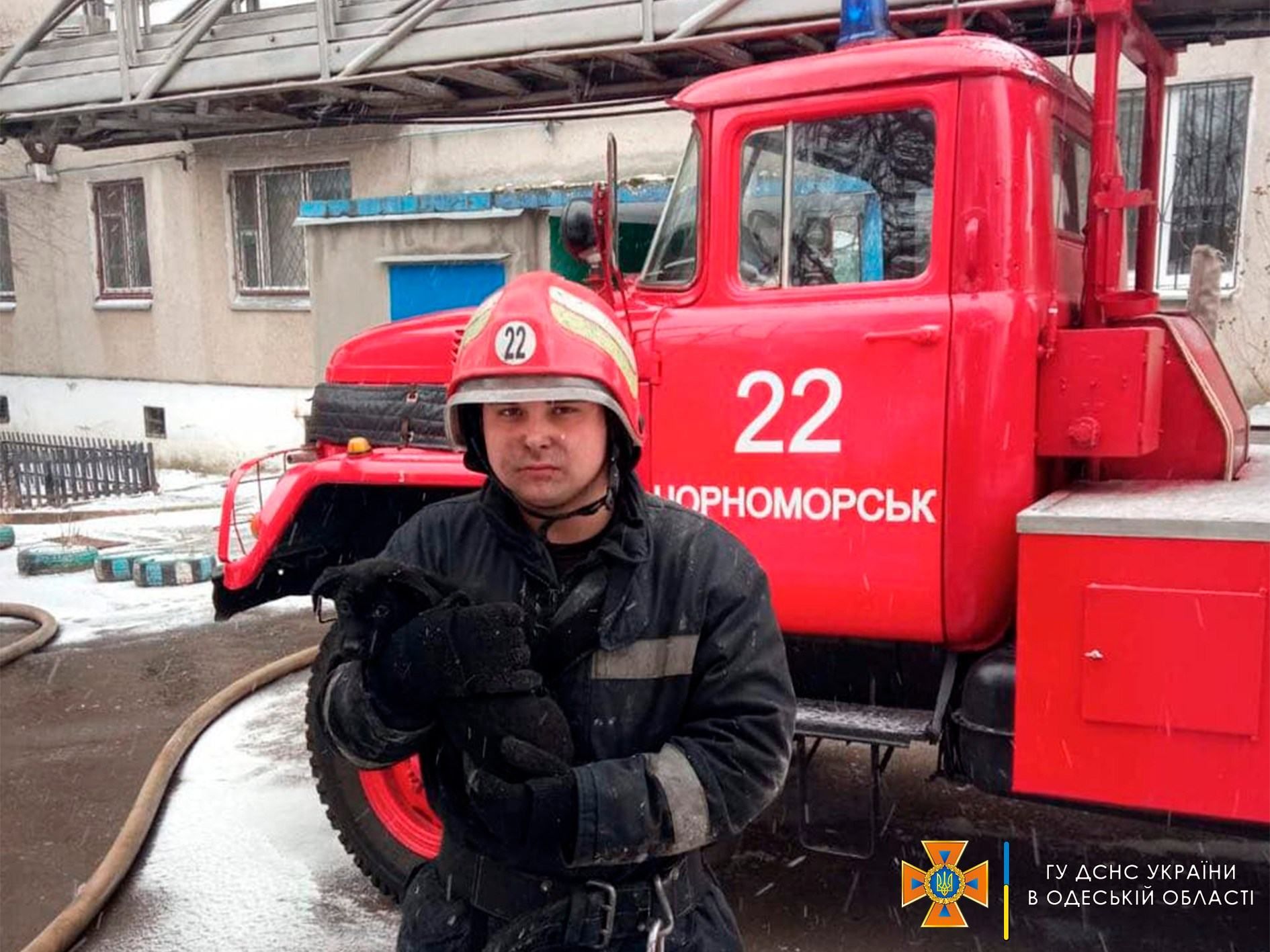 Вынесли из горящей квартиры: в Одесской области спасли мужчину с инвалидностью и его животных