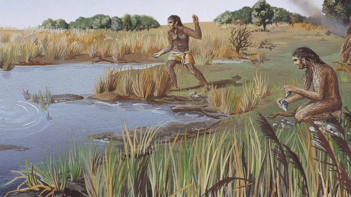 "М'ясо перетворило примата на людину": що не так з цим твердженням - Новини технологій - Техно "М'ясо перетворило примата на людину": що не так з цим твердженням - Новини технологій - Техно