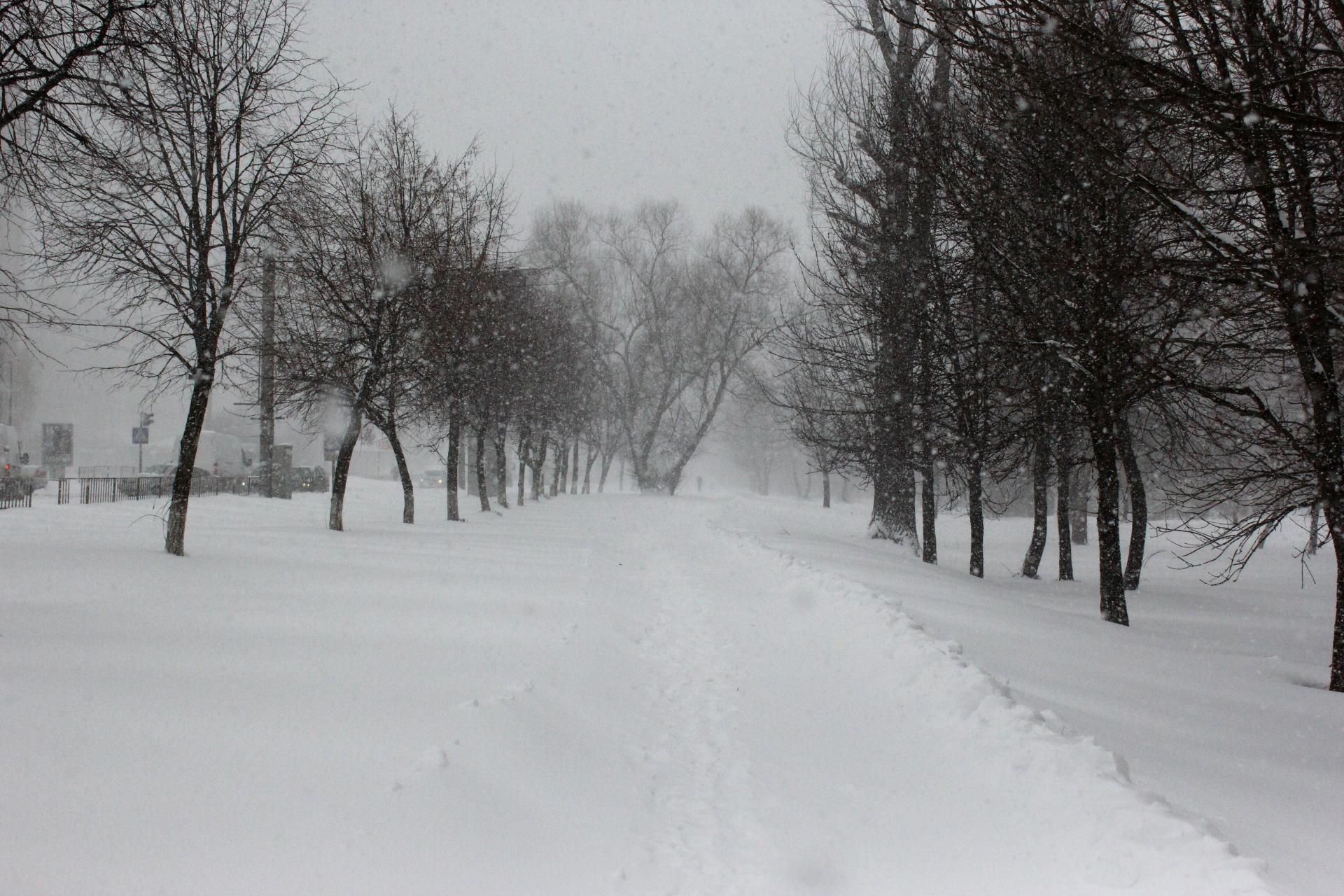 Украину накроет снег и штормовой ветер: в каких регионах ждать непогоду