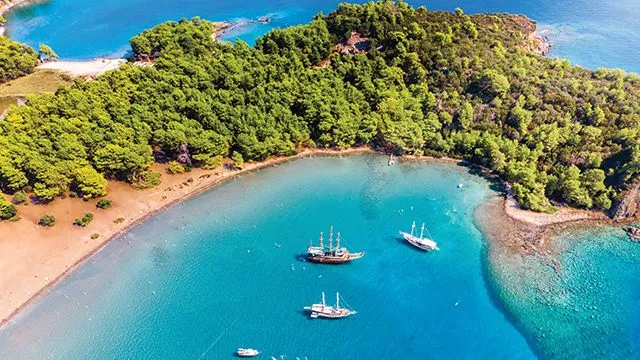 Акція від Coral Travel Акція від Coral Travel