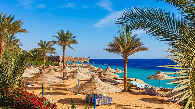 Акція від Coral Travel Акція від Coral Travel