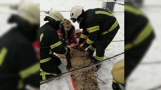 У Харкові чоловік впав з 5 поверху та зміг вижити: неймовірні відео та фото