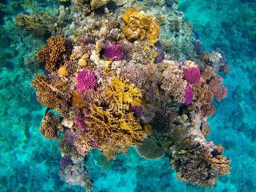 Чек-лист для відпочинку в Єгипті Чек-лист для відпочинку в Єгипті