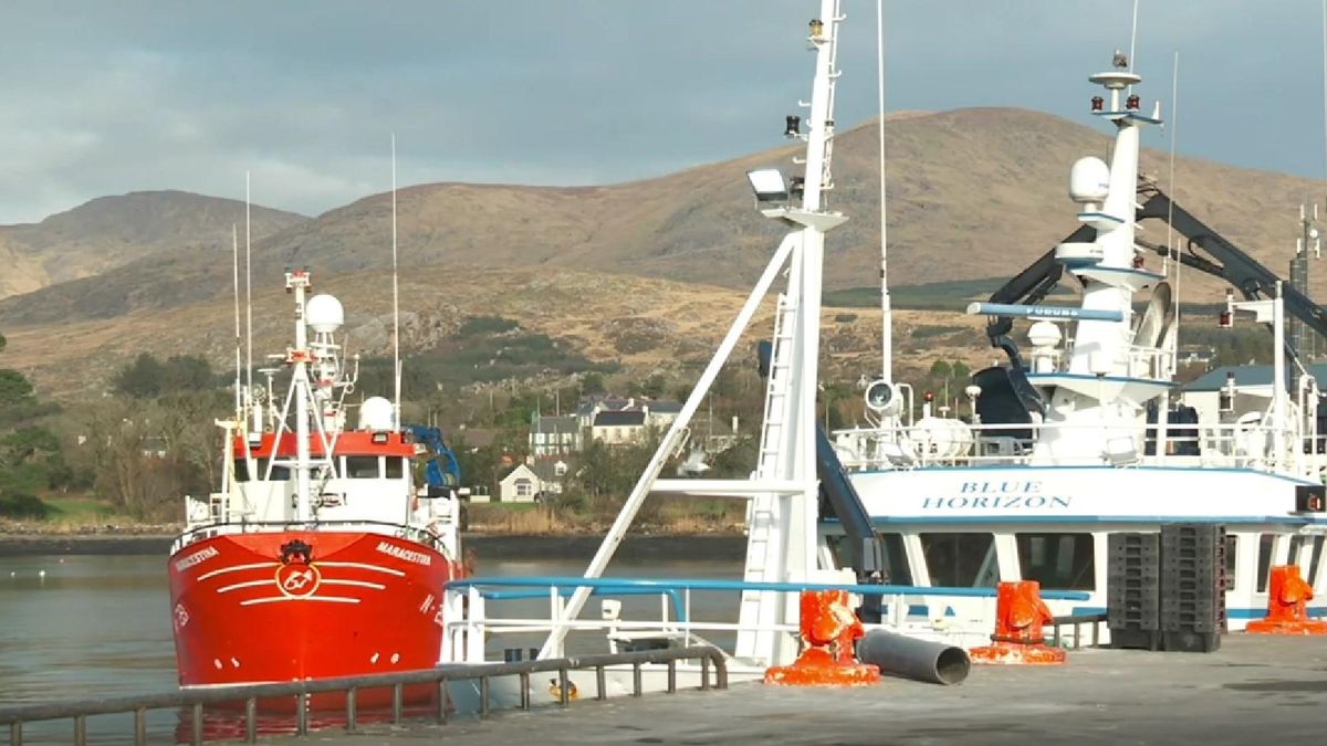 Будут мирно срывать: рыбаки Ирландии планируют помешать военным учениям России