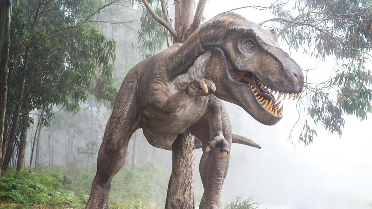 Ученые узнали в какое время года упал астероид, который погубил динозавров