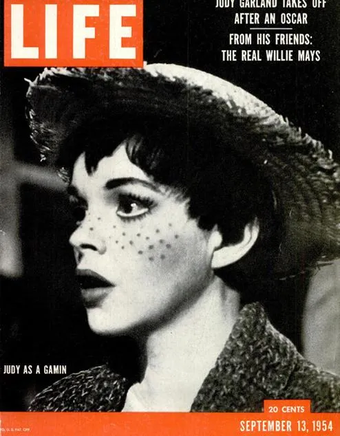 Найвідоміші обкладинки в історії журналу Life: цікава добірка Найвідоміші обкладинки в історії журналу Life: цікава добірка