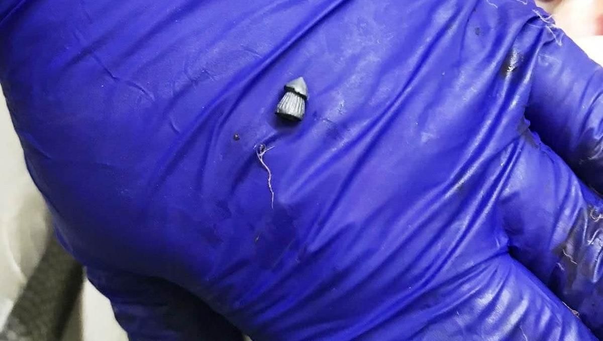 У київському парку "Наталка" невідомий підстрелив лебедя з - Київ У київському парку "Наталка" невідомий підстрелив лебедя з - Київ