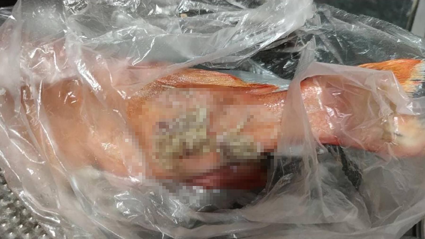 Черви вылезали из-под чешуи: в харьковском магазине продали рыбу с паразитами – жуткое фото Черви вылезали из-под чешуи: в харьковском магазине продали рыбу с паразитами – жуткое фото