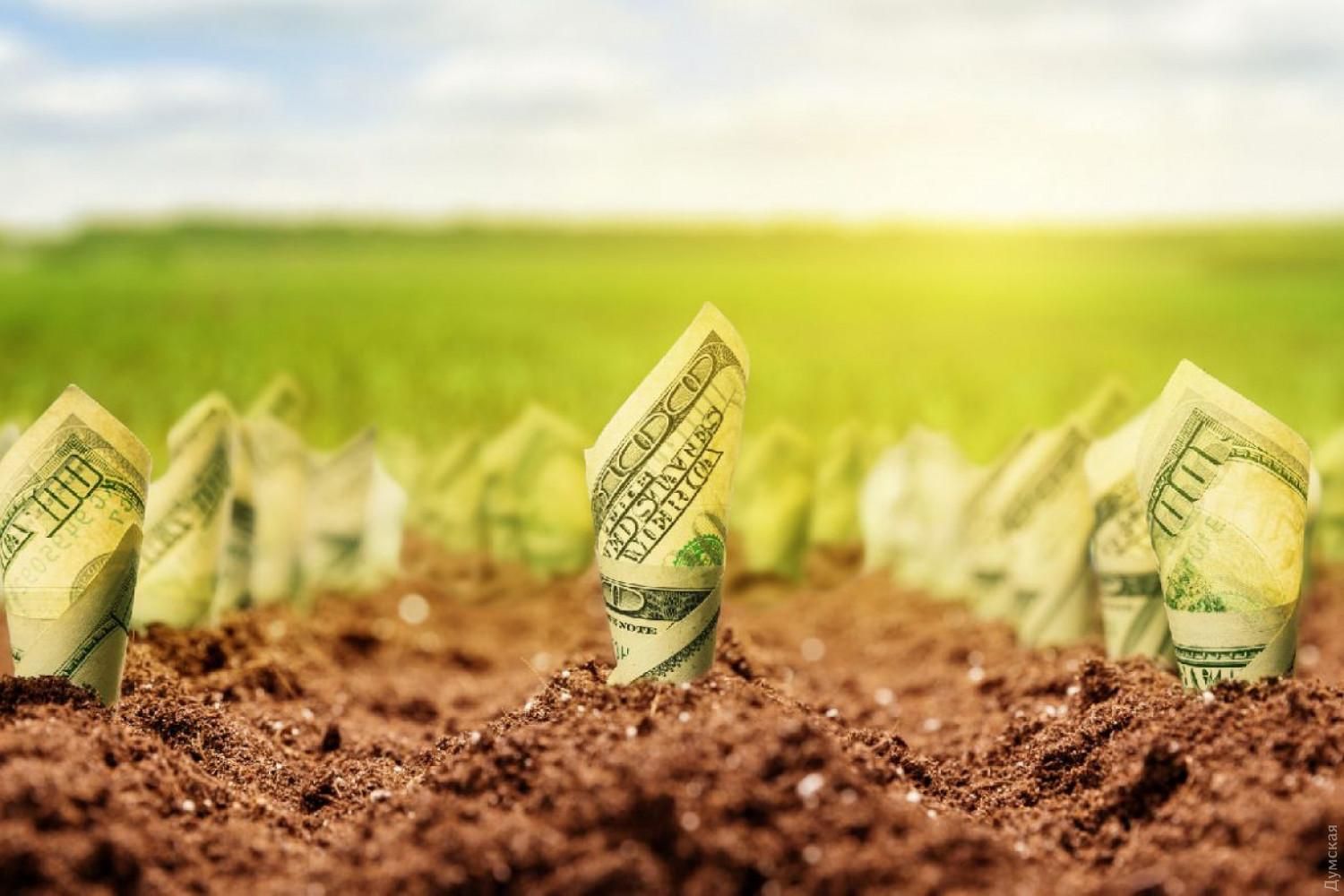 Ринок землі: в яких областях продали найбільше гектарів від початку держпрограми - Економічні новини України - Економіка Ринок землі: в яких областях продали найбільше гектарів від початку держпрограми - Економічні новини України - Економіка