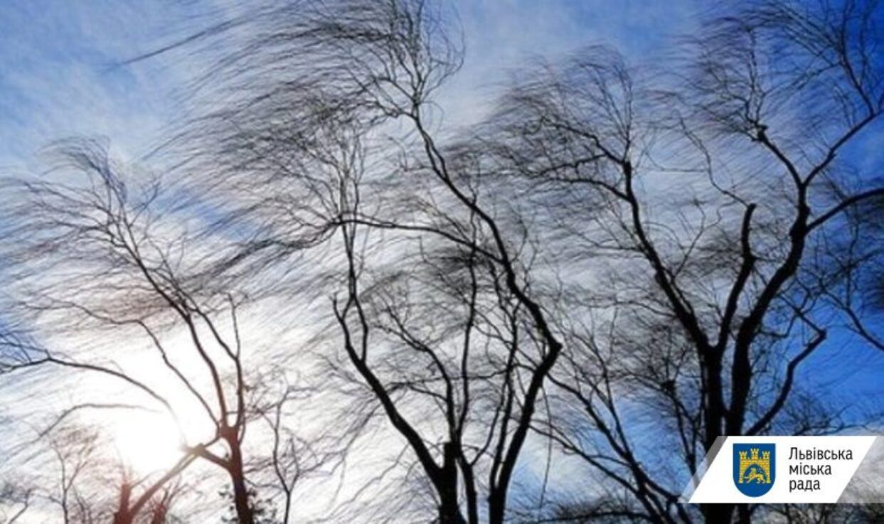 Сильний вітер та ожеледиця: на Львівщині погіршиться погода - Львів Сильний вітер та ожеледиця: на Львівщині погіршиться погода - Львів