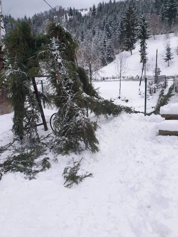 Міст Закарпаття Міст Закарпаття