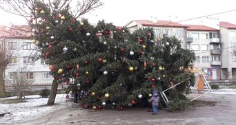 От сильного ветра во Львовской области упала новогодняя елка