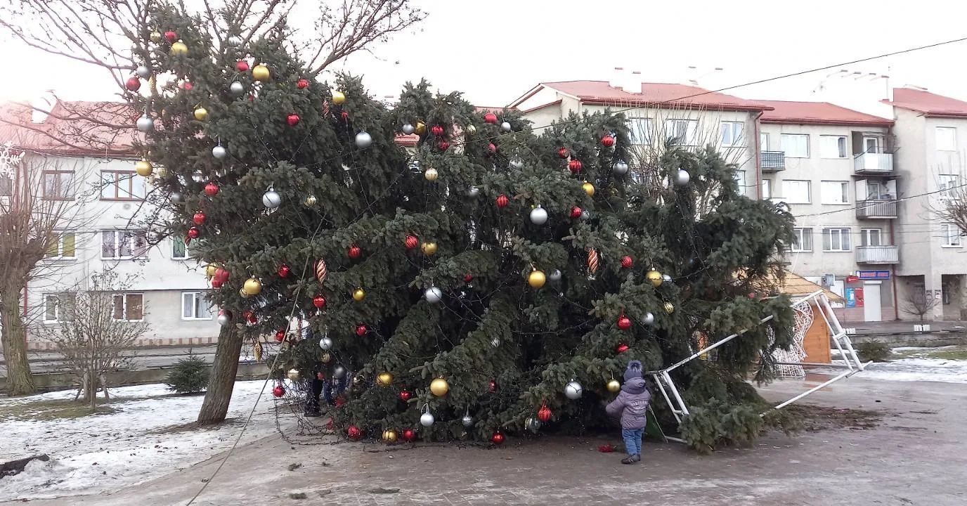 От сильного ветра во Львовской области упала новогодняя елка