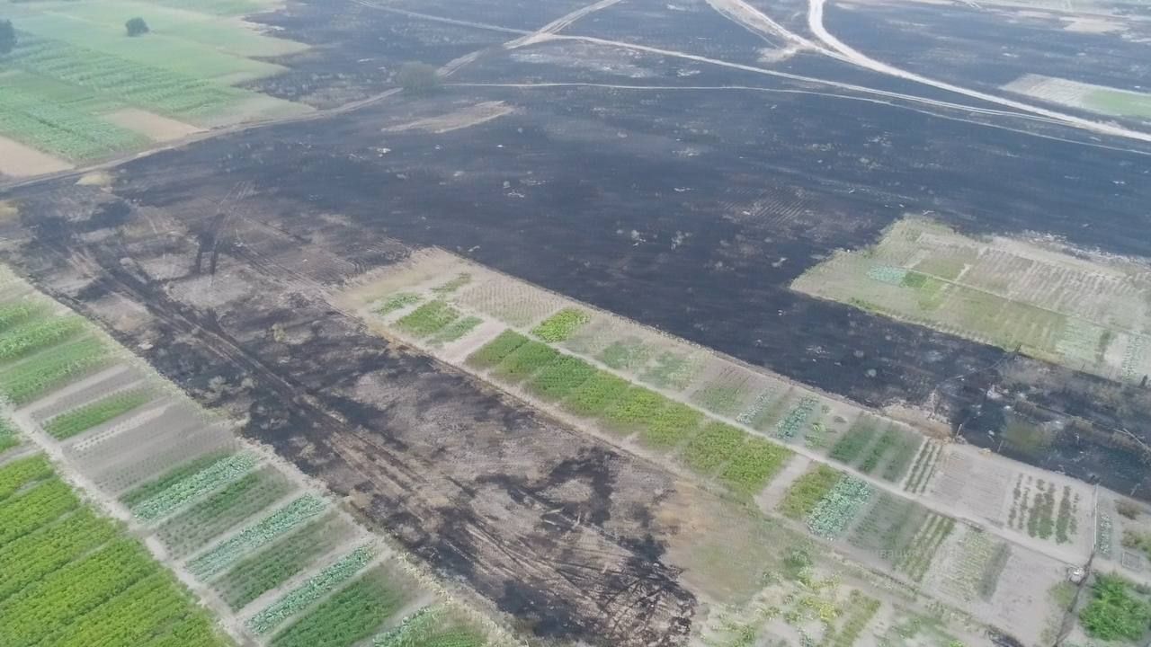 Масштабні пожежі на Луганщині 2020 року: посадовцям ДСНС повідомили про підозру - Новини Луганська - 24 Канал