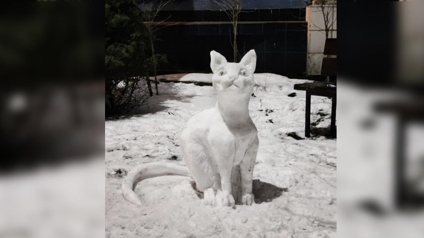 Креативные и иногда жуткие: яркая фотоподборка одесских снеговиков Креативные и иногда жуткие: яркая фотоподборка одесских снеговиков