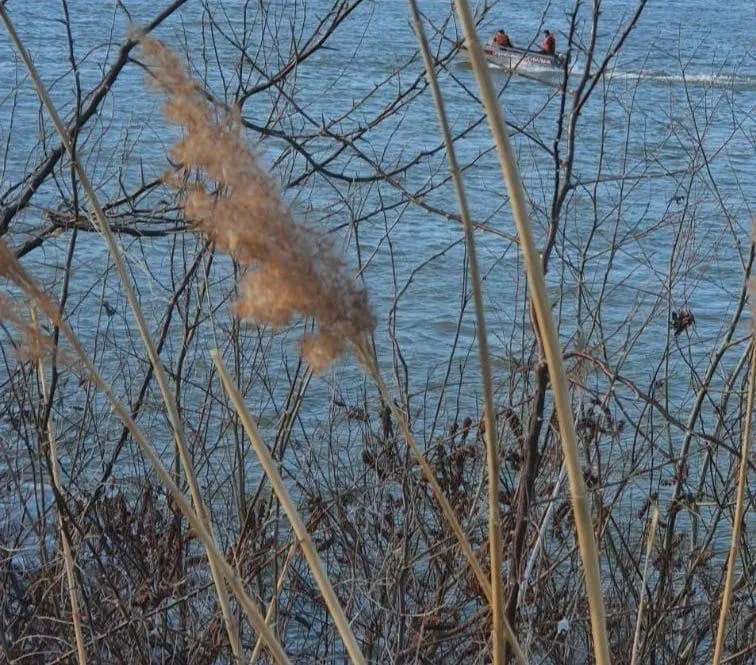 Труп чоловіка перебував за 350 метрів від берега в порту міста Рені Труп чоловіка перебував за 350 метрів від берега в порту міста Рені