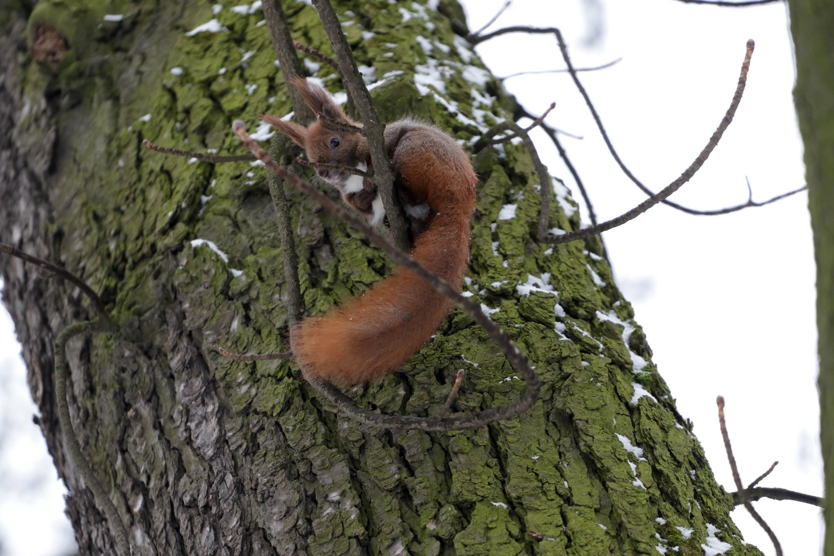 Погода на 2 февраля 2022 в Украине: что прогнозируют синоптики Погода на 2 февраля 2022 в Украине: что прогнозируют синоптики