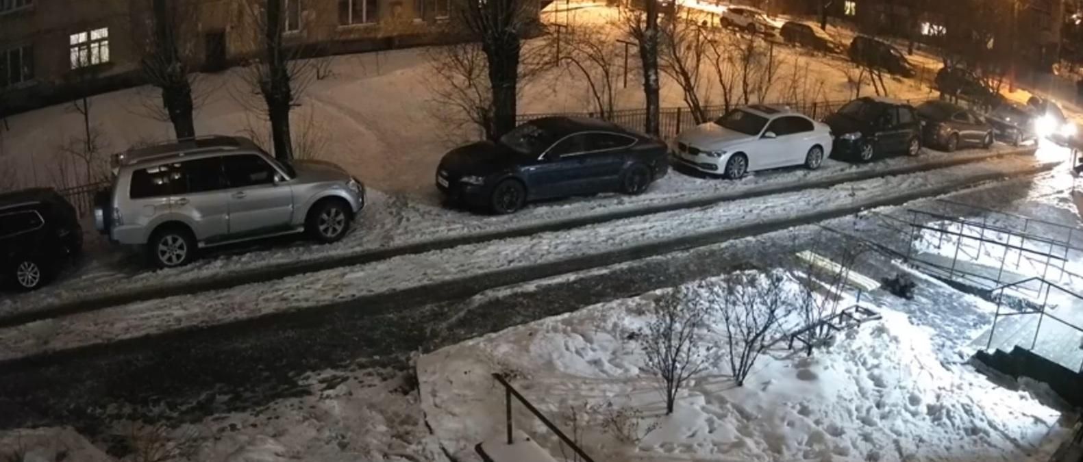 У Львові догхантери масово труять собак: моторошне відео - Новини Львова - Львів У Львові догхантери масово труять собак: моторошне відео - Новини Львова - Львів