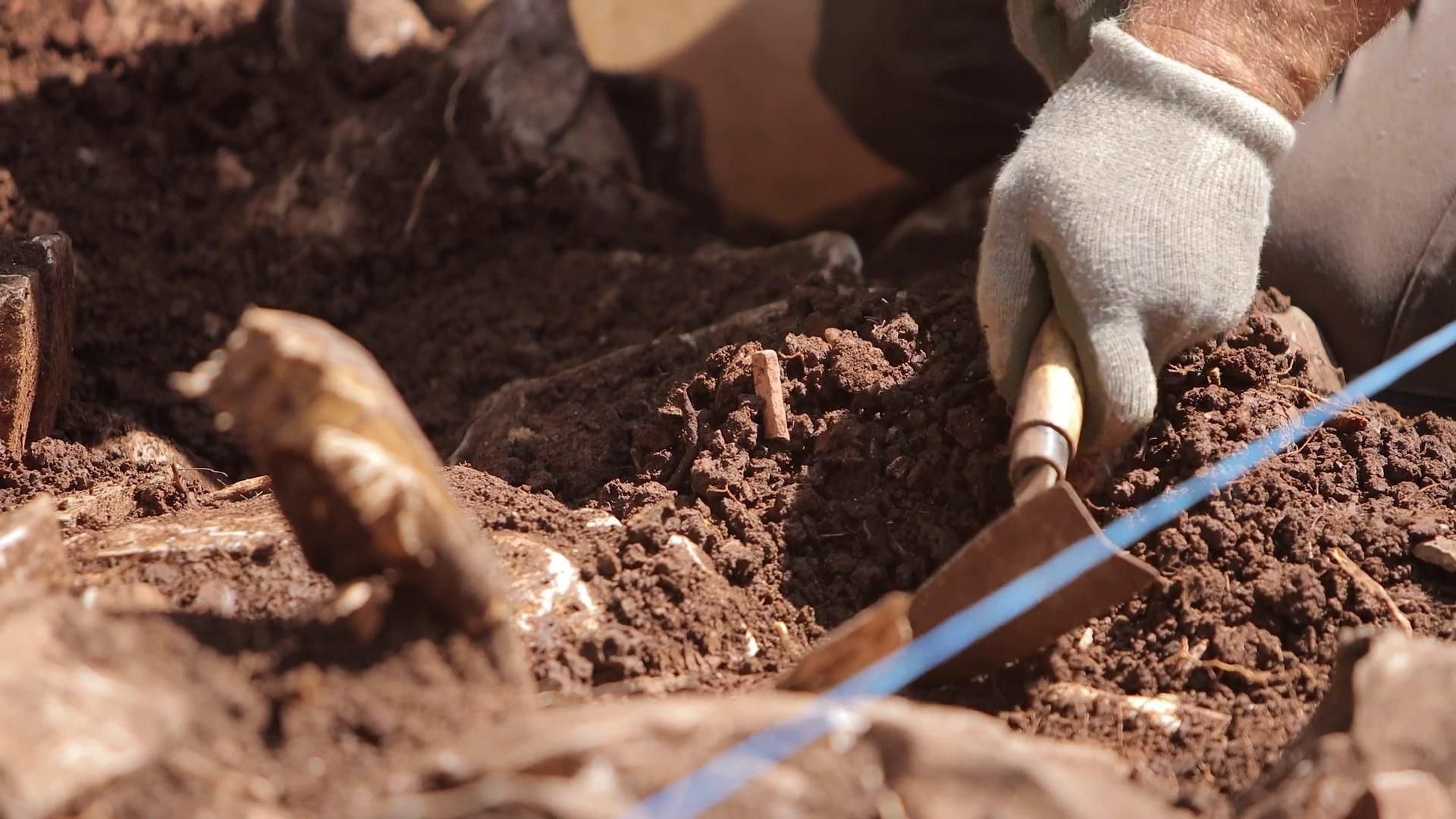 У Нідерландах знайшли 2000-річну скляну посудину в ідеальному стані: фото знахідки - Новини технологій - Техно У Нідерландах знайшли 2000-річну скляну посудину в ідеальному стані: фото знахідки - Новини технологій - Техно
