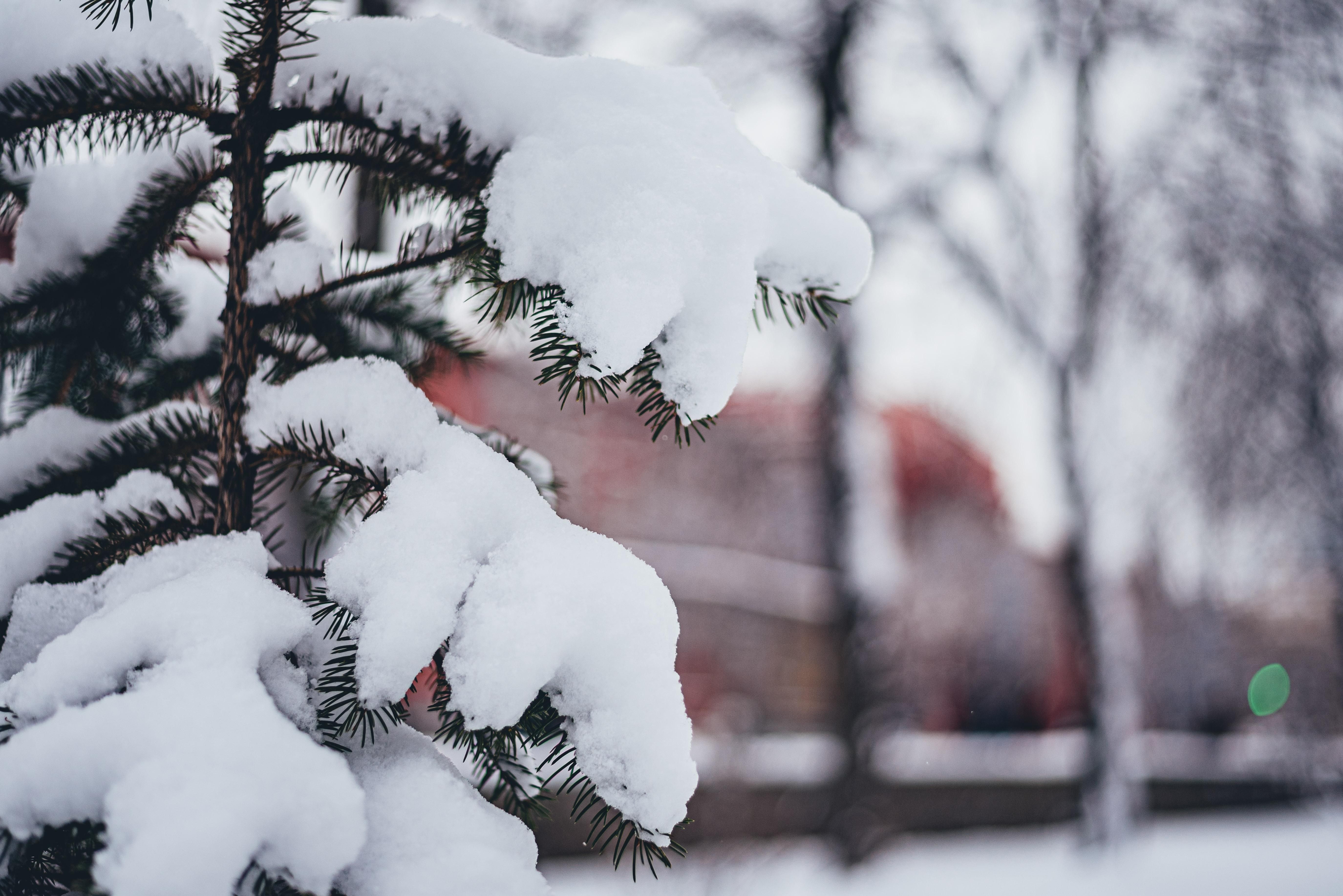 Рекордные ветры и температуры: в Киеве подвели итоги январской погоды Рекордные ветры и температуры: в Киеве подвели итоги январской погоды