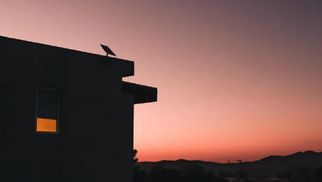 SpaceX представила премиум-подписку на спутниковый интернет Starlink: известна цена и детали