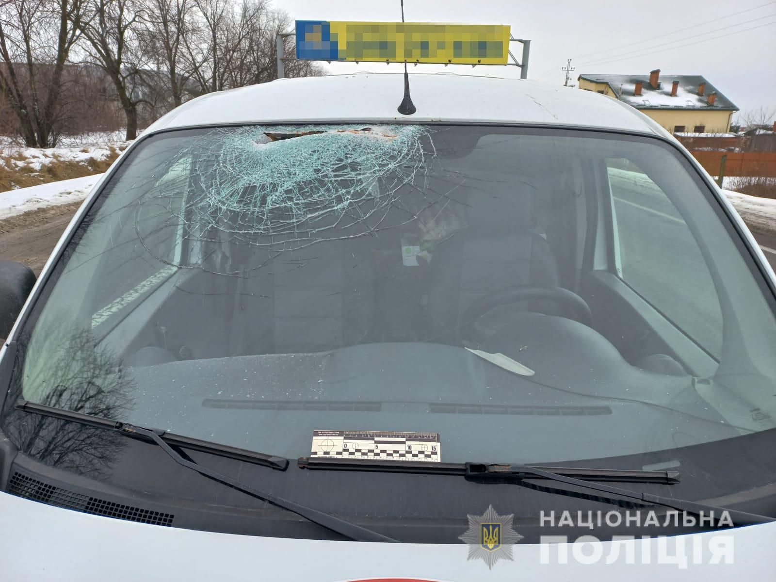 Тент злетів і розбив вітрове скло: подробиці жахливої ДТП з вантажівкою біля Львова - Новини Львова - Львів