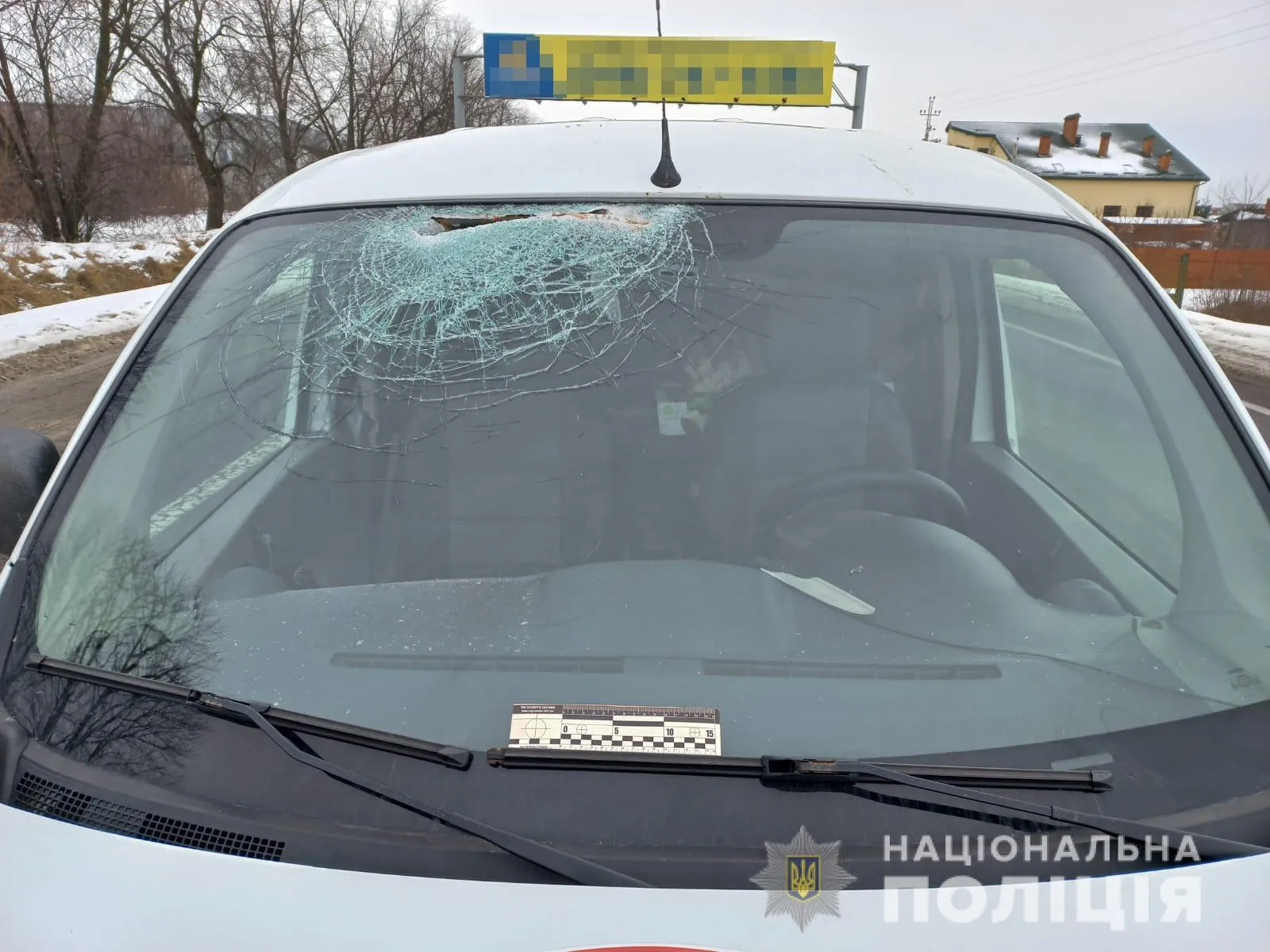 Жінка потрапила в лікарню: у поліції розповіли подробиці жахливої ДТП з вантажівкою біля Львова