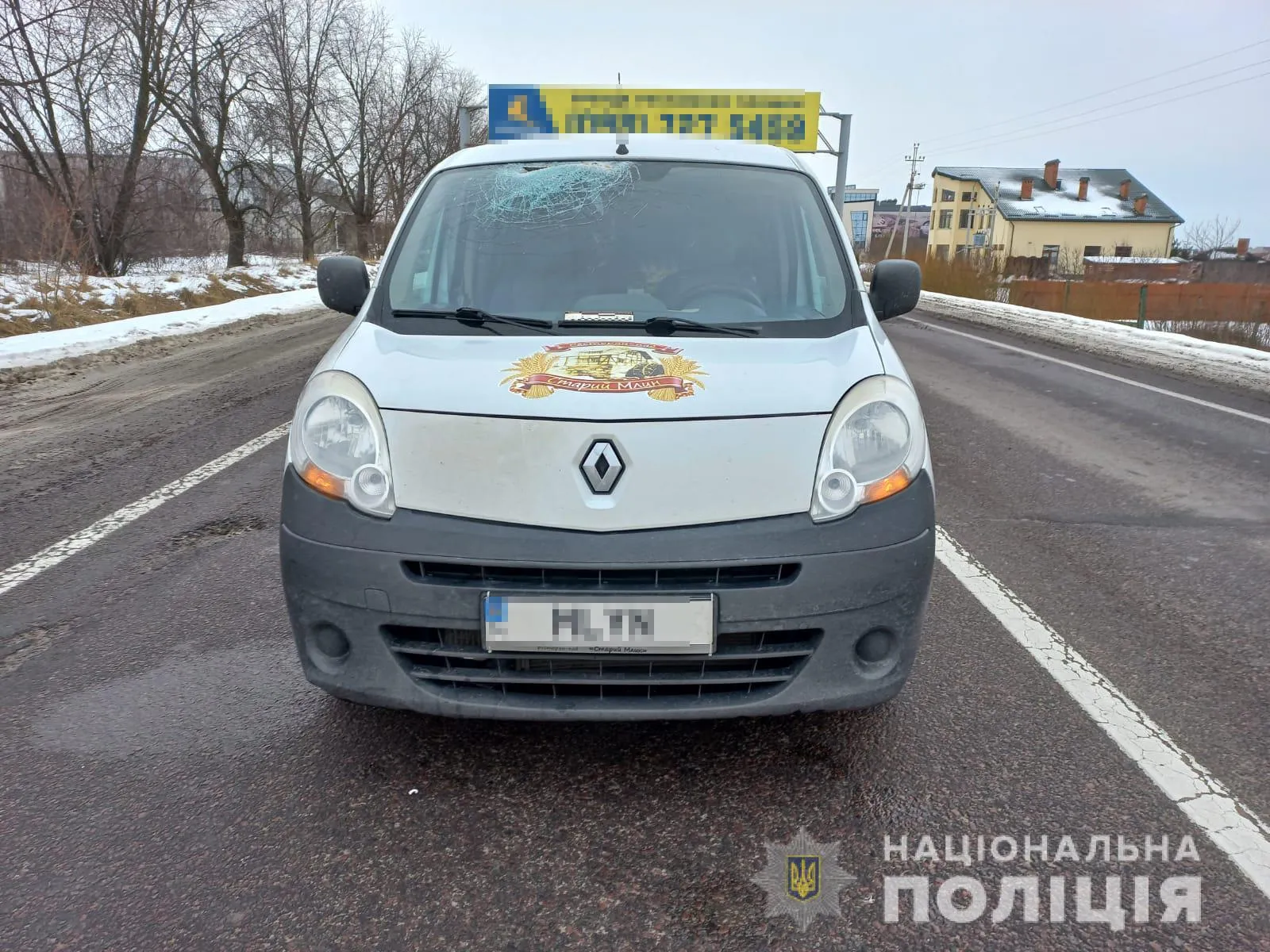 Жінка потрапила в лікарню: у поліції розповіли подробиці жахливої ДТП з вантажівкою біля Львова