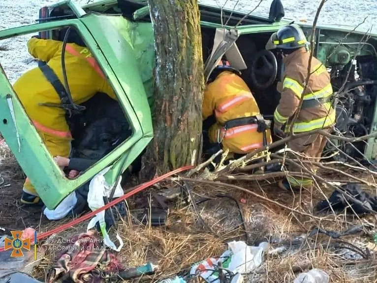 Водій врізався у дерево