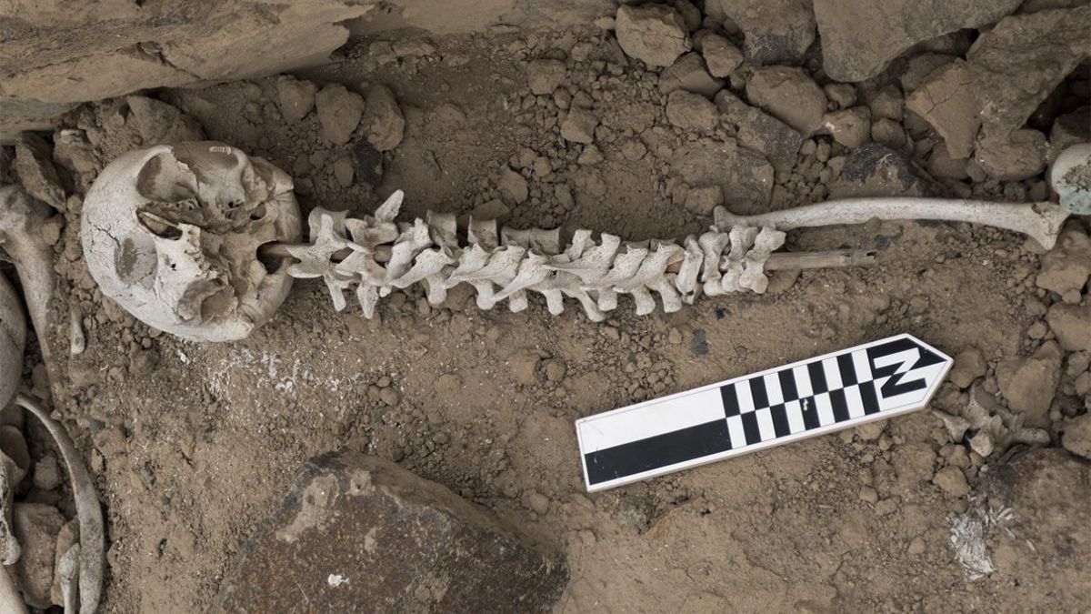 Моторошна знахідка в Перу: людці хребти та черепи, нанизані на палички - Новини технологій - Техно