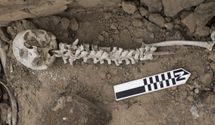 Жуткая находка в Перу: человеческие хребты и черепа, нанизанные на палочки