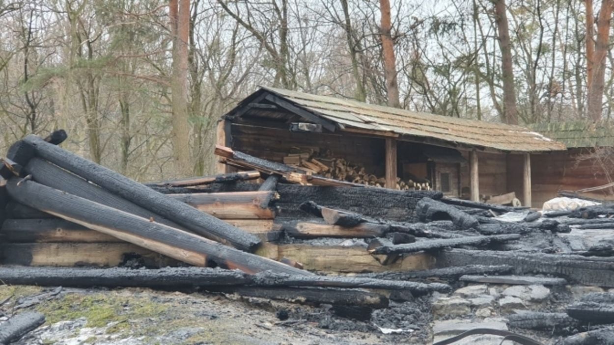 Це велика втрата для міста, – у Львівській мерії прокоментували пожежу в Шевченківському гаю - Новини Львова - Львів Це велика втрата для міста, – у Львівській мерії прокоментували пожежу в Шевченківському гаю - Новини Львова - Львів