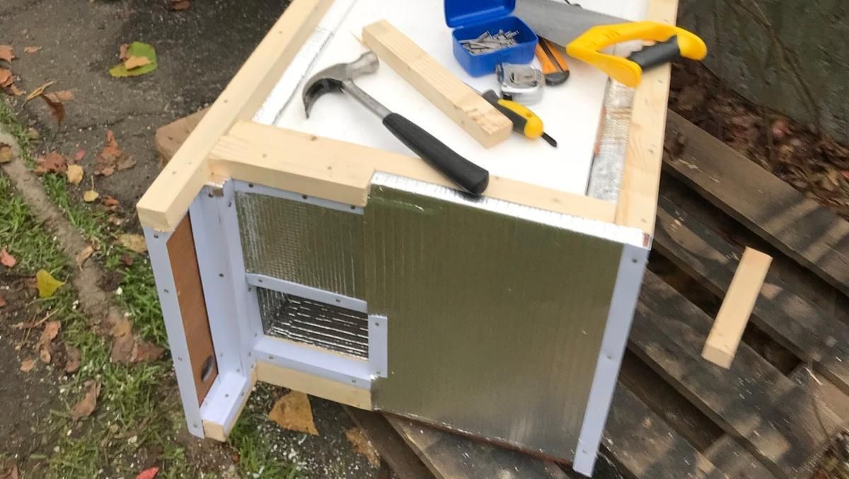 Киевские коммунальщики уничтожили домики уличных котов, которыми заботилась зоозащитница Киевские коммунальщики уничтожили домики уличных котов, которыми заботилась зоозащитница