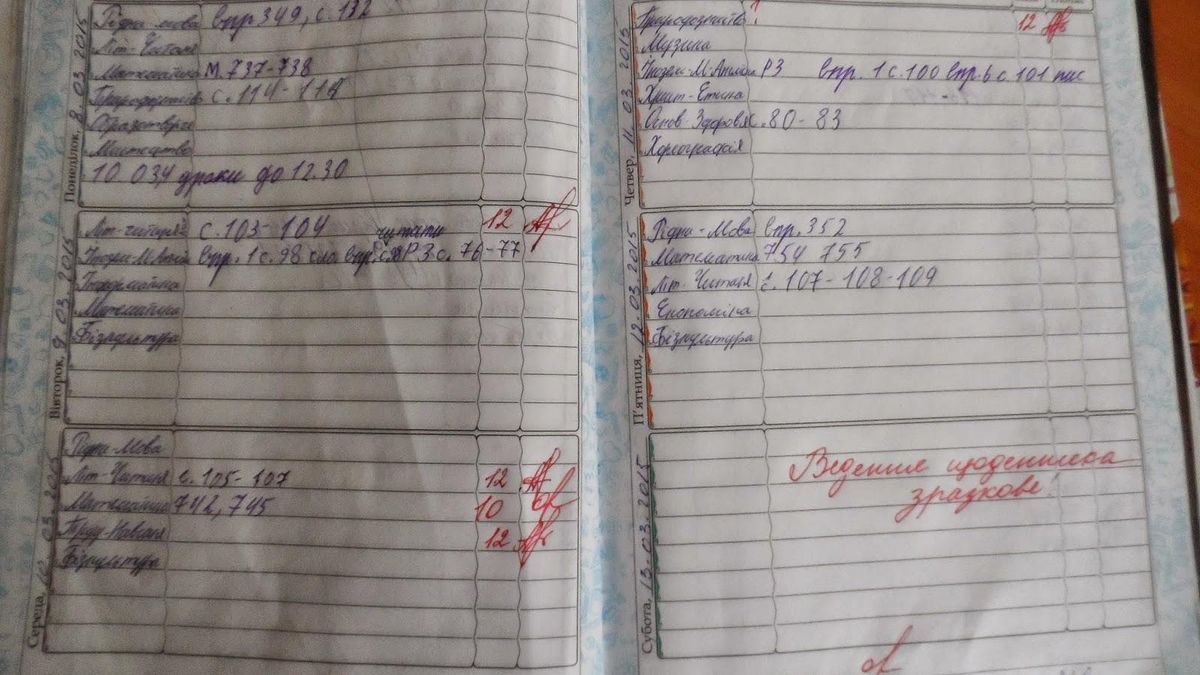 Записи красной ручкой: есть ли у учителей право писать замечания в дневнике ученика