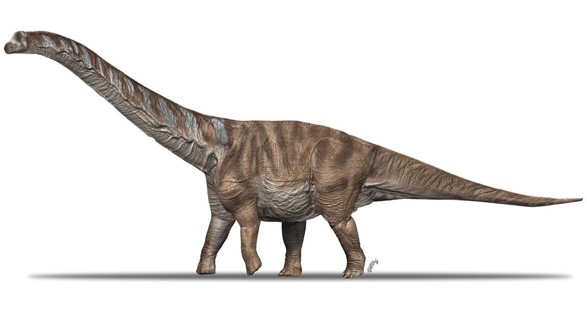 В Іспанії відкопали невідомого раніше велетенського титанозавра - Новини технологій - Техно